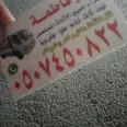 الصورة الأولى