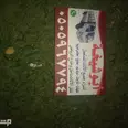 الصورة الأولى