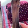 الصورة الأولى