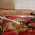 الصورة الأولى
