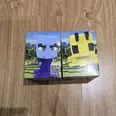 First Image