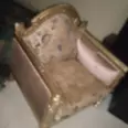 First Image