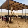 الصورة الأولى