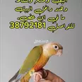 الصورة الأولى