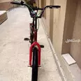 الصورة الأولى
