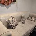 الصورة الأولى