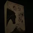 الصورة الأولى