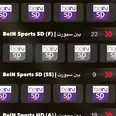 الصورة الأولى