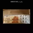 الصورة الأولى