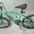 First Image