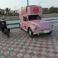 الصورة الأولى