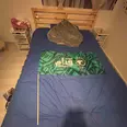 الصورة الأولى
