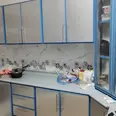First Image