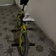 First Image