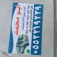 الصورة الأولى