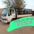 الصورة الأولى