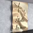 First Image