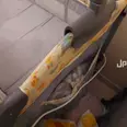 الصورة الأولى