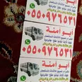 الصورة الأولى