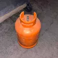 الصورة الأولى