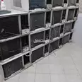 First Image
