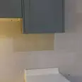 الصورة الأولى
