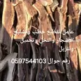الصورة الأولى