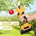 الصورة الأولى
