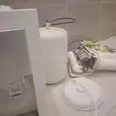 الصورة الأولى