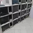 First Image