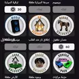 الصورة الأولى
