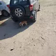 الصورة الأولى