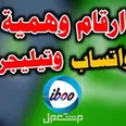 الصورة الأولى