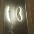 First Image