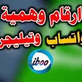 الصورة الأولى