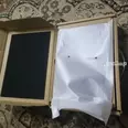 الصورة الأولى