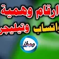 الصورة الأولى