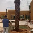 الصورة الأولى