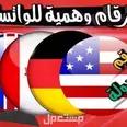 الصورة الأولى