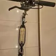 الصورة الأولى