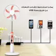 الصورة الأولى