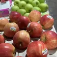 الصورة الأولى