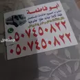 الصورة الأولى