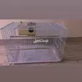 First Image