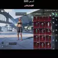 الصورة الأولى