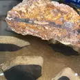 الصورة الأولى