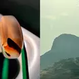 First Image