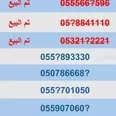 الصورة الأولى