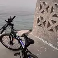 الصورة الأولى