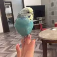 الصورة الأولى